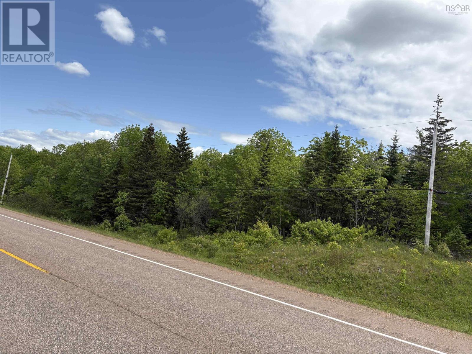 Highway 105, Lexington, Nova Scotia  B9A 1T2 - Photo 4 - 202515055