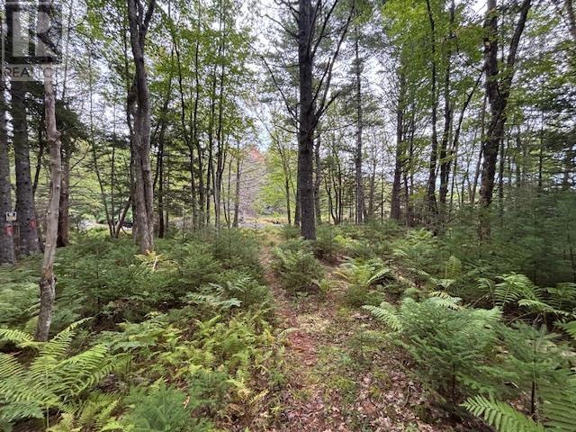 Lot 24-2 Italy Cross Road, Crousetown, Nova Scotia  B4V 6R5 - Photo 11 - 202523860