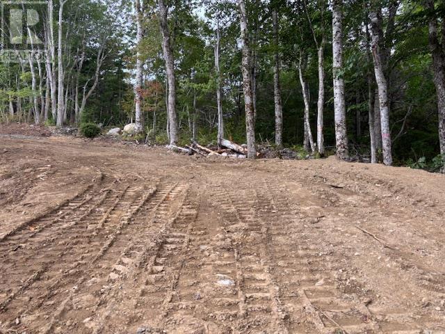 Lot 24-2 Italy Cross Road, Crousetown, Nova Scotia  B4V 6R5 - Photo 2 - 202523860