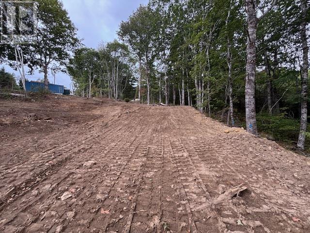 Lot 24-2 Italy Cross Road, Crousetown, Nova Scotia  B4V 6R5 - Photo 3 - 202523860