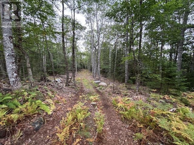 Lot 24-2 Italy Cross Road, Crousetown, Nova Scotia  B4V 6R5 - Photo 4 - 202523860