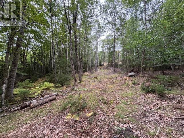 Lot 24-2 Italy Cross Road, Crousetown, Nova Scotia  B4V 6R5 - Photo 5 - 202523860