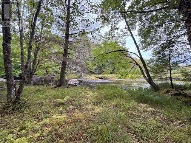 Lot 24-2 Italy Cross Road, Crousetown, Nova Scotia  B4V 6R5 - Photo 9 - 202523860