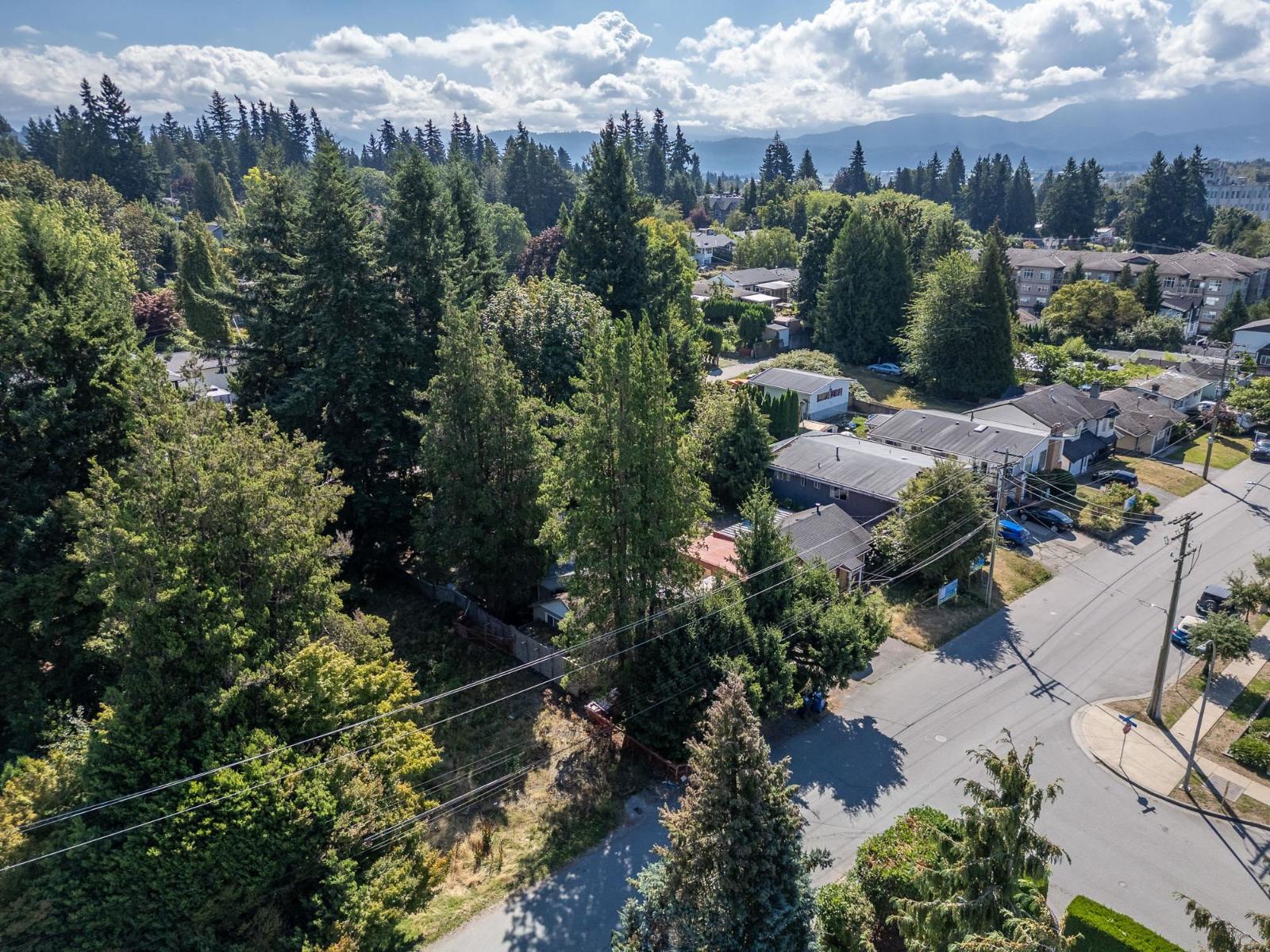 2594 Campbell Avenue, Abbotsford, British Columbia  V2S 4A4 - Photo 6 - R3049924