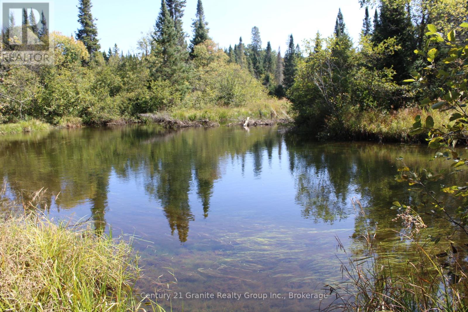 1295 Binscarth Trail, Dysart Et Al, Ontario  K0M 1S0 - Photo 32 - X12416068