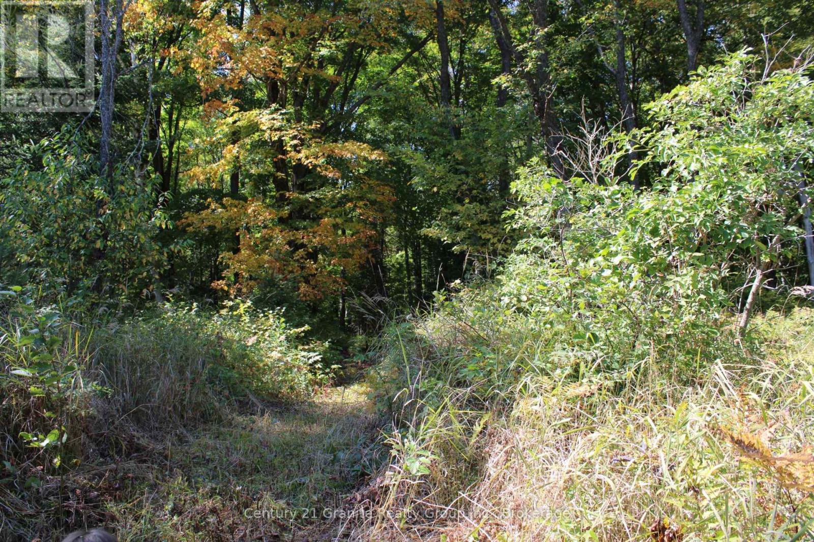 1295 Binscarth Trail, Dysart Et Al, Ontario  K0M 1S0 - Photo 33 - X12416068