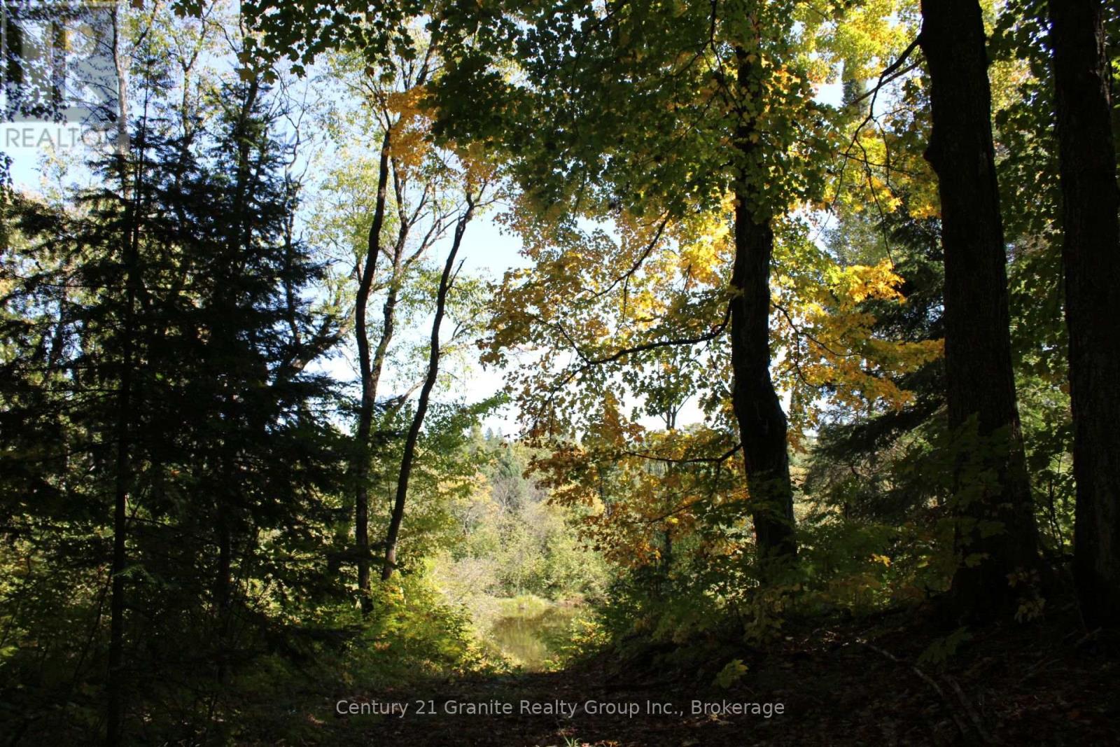 1295 Binscarth Trail, Dysart Et Al, Ontario  K0M 1S0 - Photo 34 - X12416068