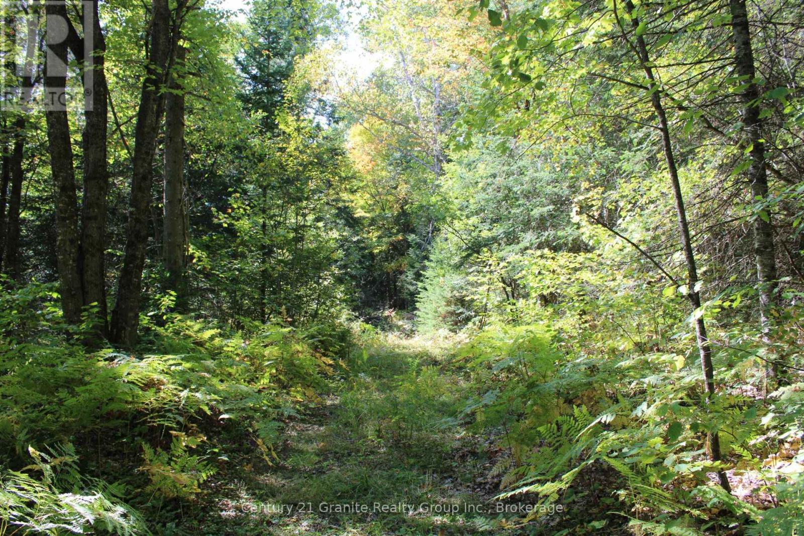 1295 Binscarth Trail, Dysart Et Al, Ontario  K0M 1S0 - Photo 36 - X12416068
