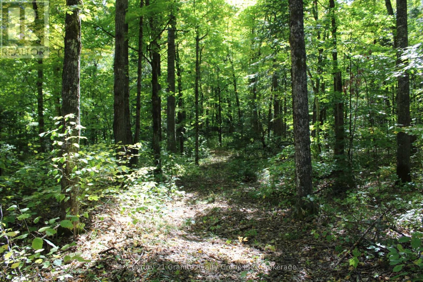 1295 Binscarth Trail, Dysart Et Al, Ontario  K0M 1S0 - Photo 37 - X12416068