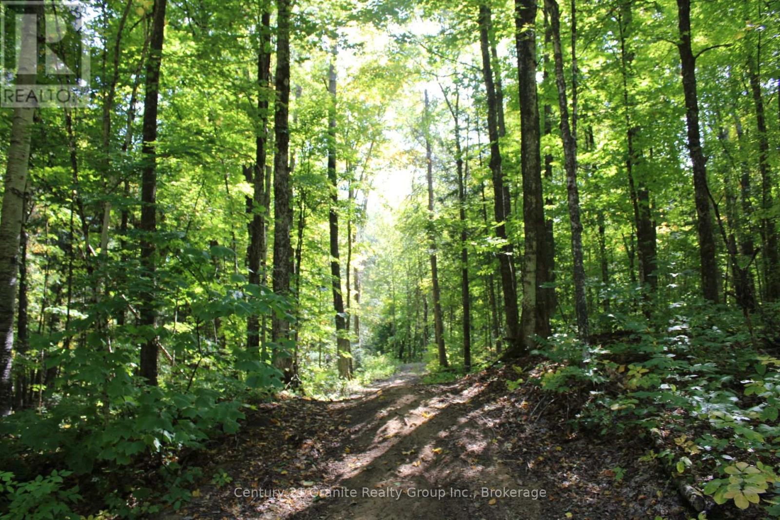 1295 Binscarth Trail, Dysart Et Al, Ontario  K0M 1S0 - Photo 38 - X12416068