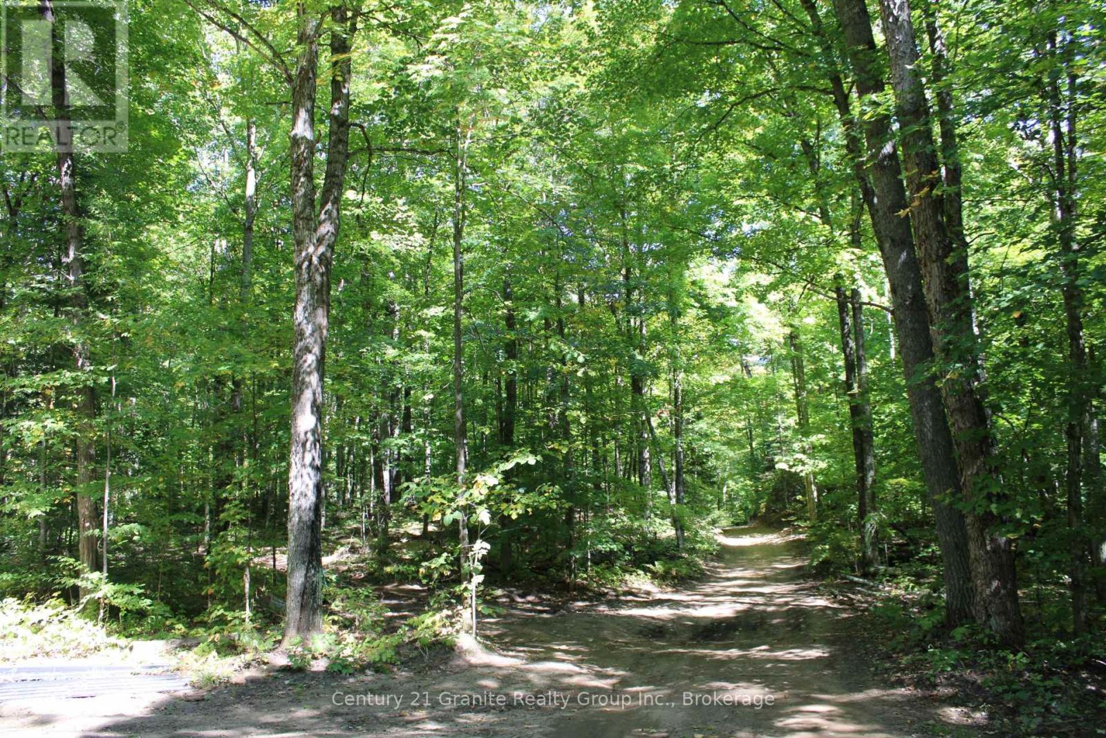 1295 Binscarth Trail, Dysart Et Al, Ontario  K0M 1S0 - Photo 39 - X12416068