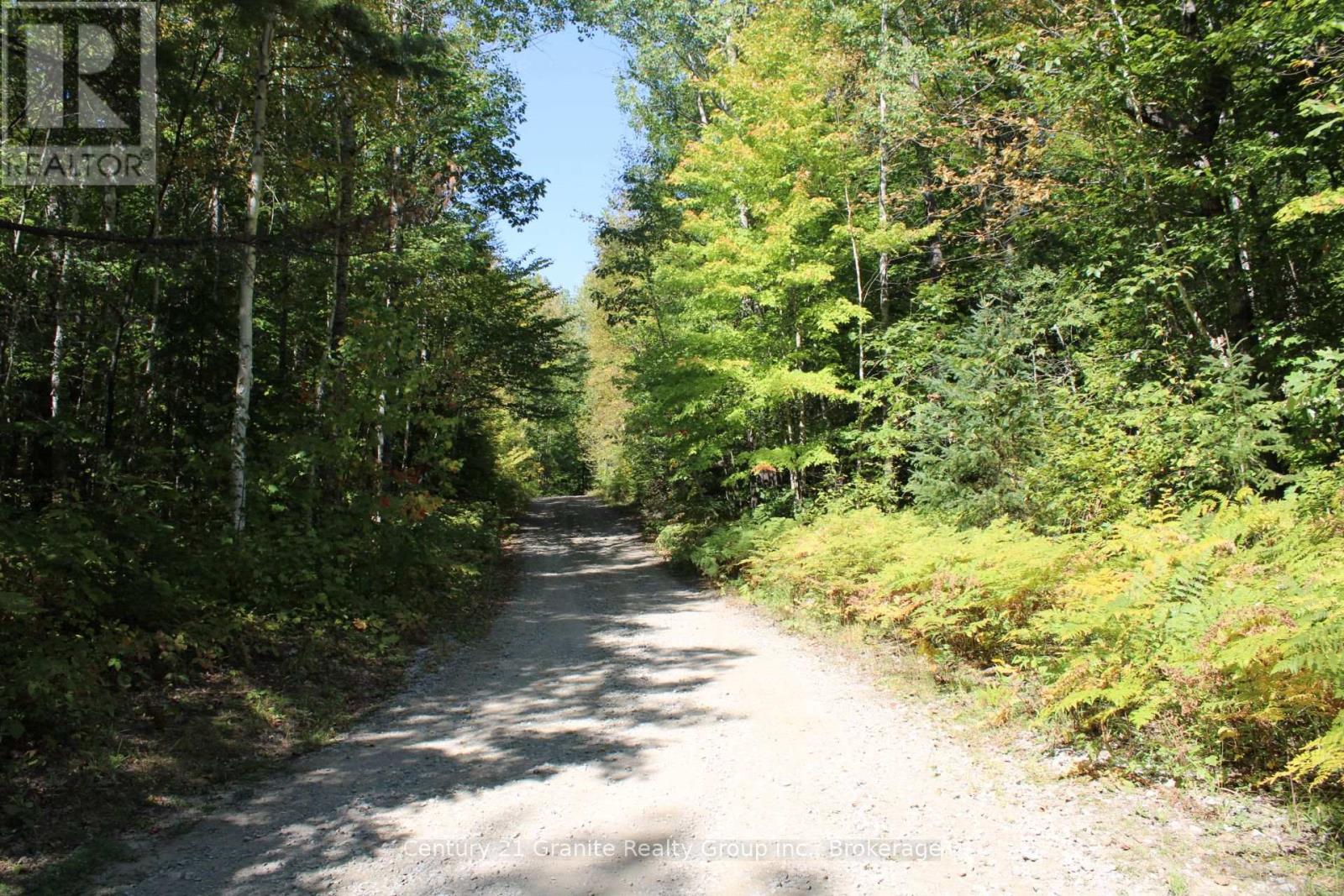 1295 Binscarth Trail, Dysart Et Al, Ontario  K0M 1S0 - Photo 43 - X12416068
