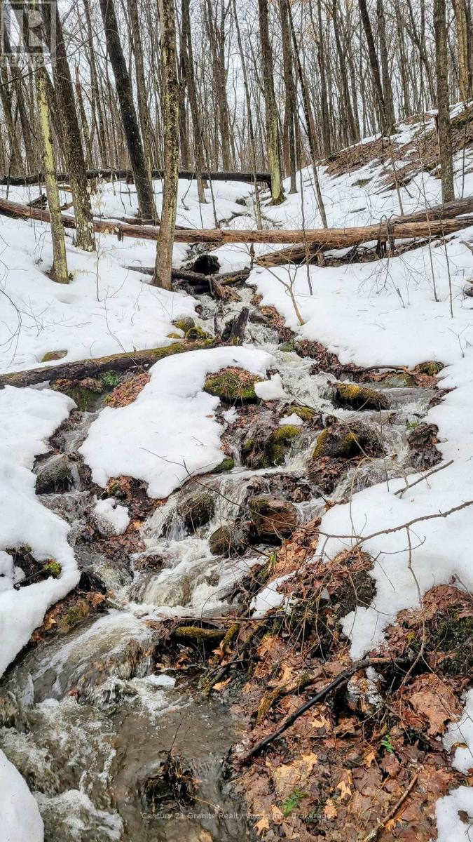 1295 Binscarth Trail, Dysart Et Al, Ontario  K0M 1S0 - Photo 46 - X12416068