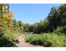 1295 BINSCARTH TRAIL, dysart et al (guilford), Ontario