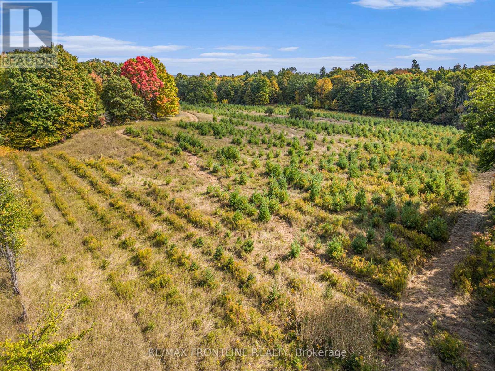 0 Bennett Lake Road, Tay Valley, Ontario  K0G 1A0 - Photo 15 - X12416124