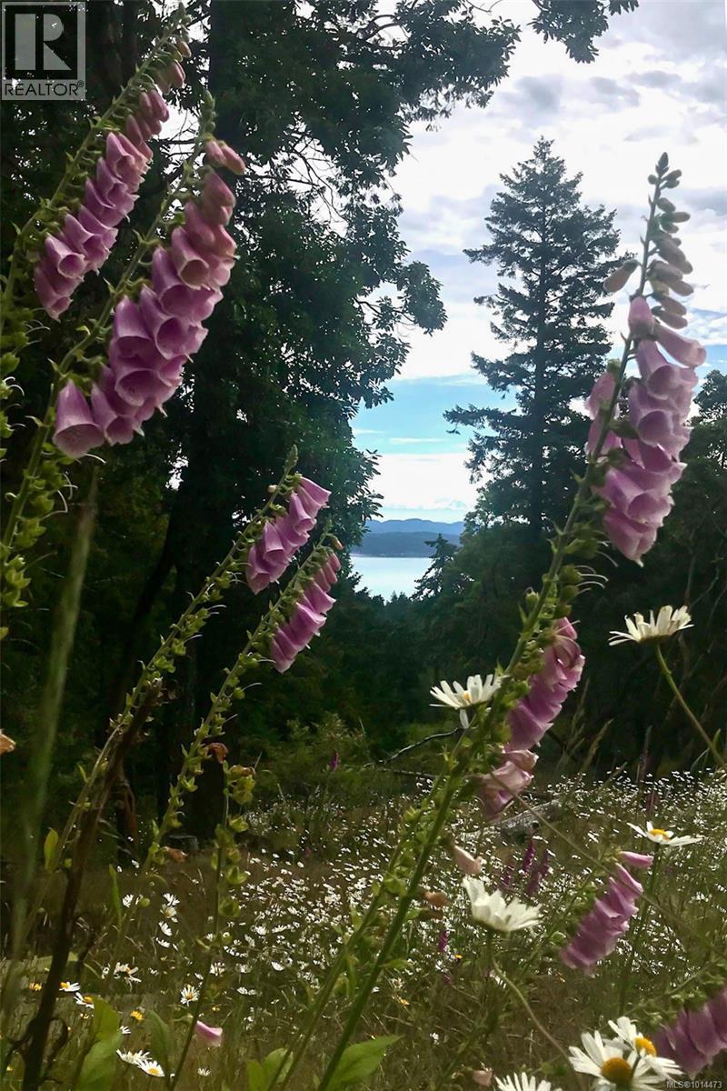 155 Liberty Hall Lane, Salt Spring, British Columbia  V8K 2H1 - Photo 29 - 1014473