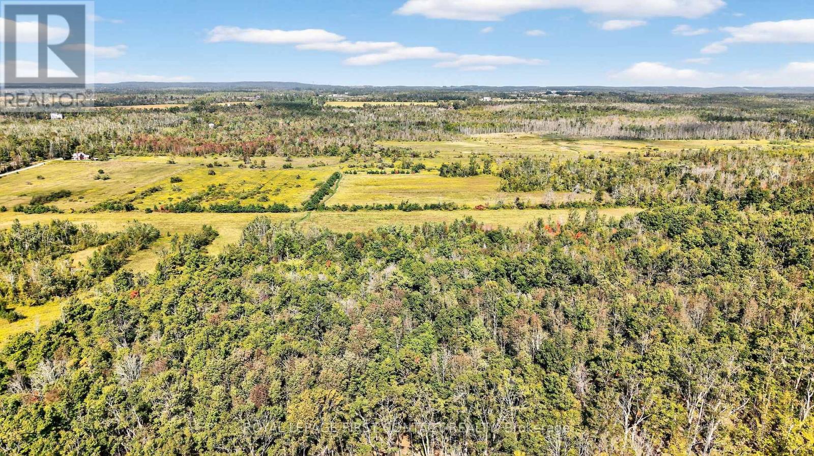 2258 Lakeshore Road E, Oro-Medonte, Ontario  L0L 1T0 - Photo 44 - S12415943