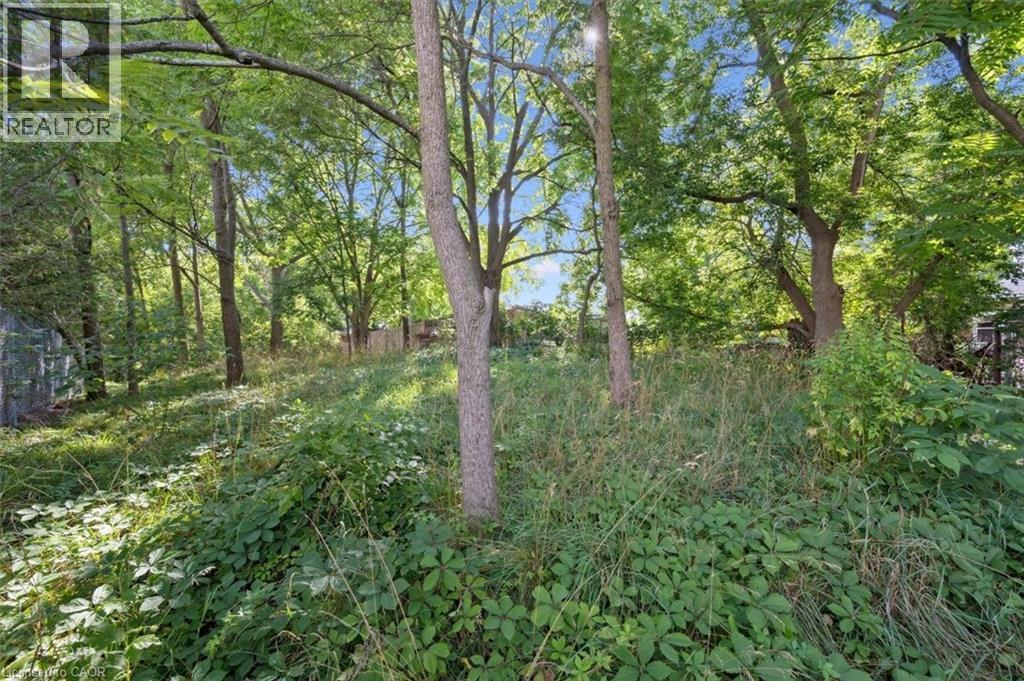 265 London Road W, Guelph, Ontario  N1H 2C7 - Photo 26 - 40771831