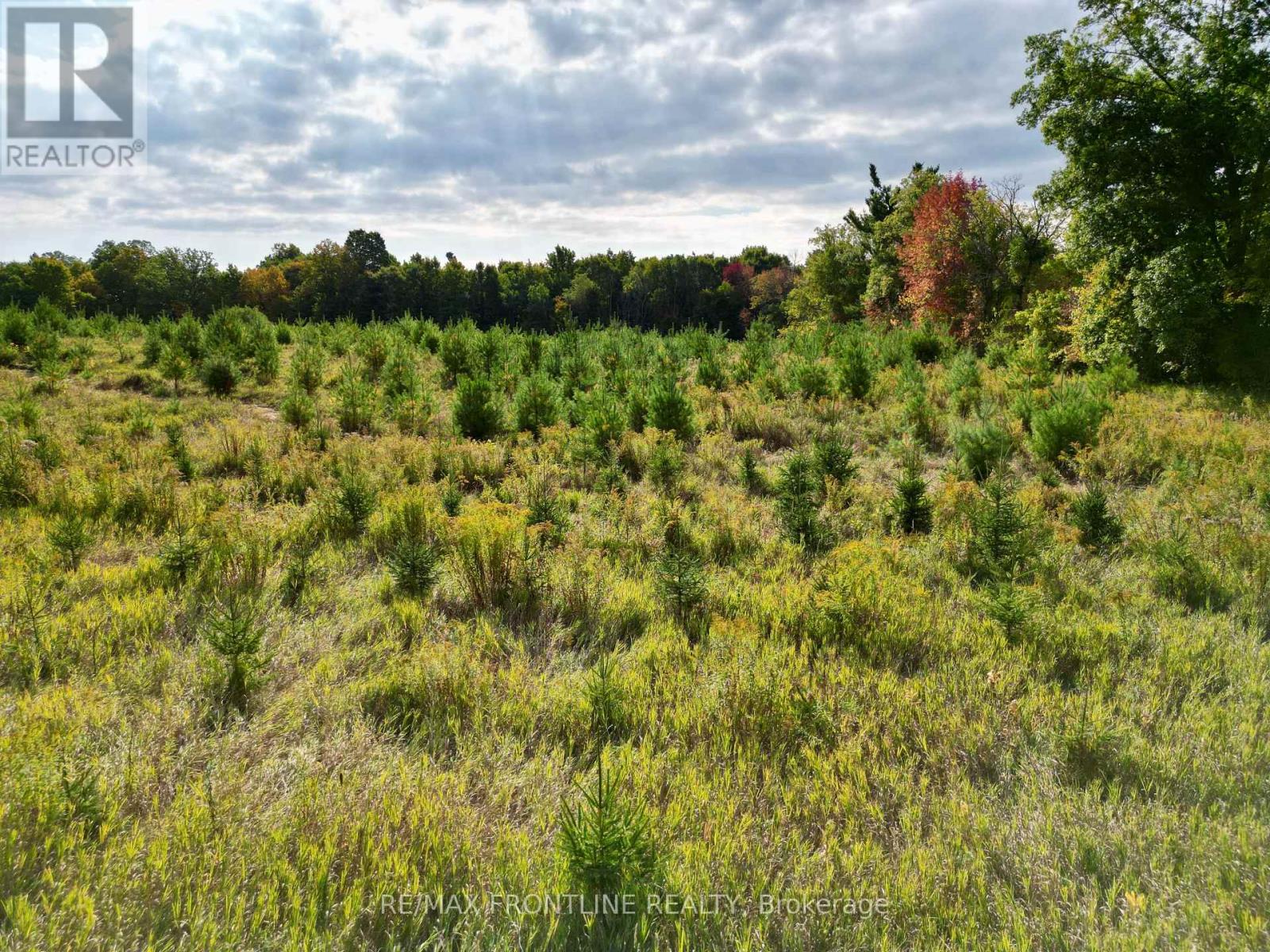 0 Bennett Lake Road, Tay Valley, Ontario  K0G 1A0 - Photo 21 - X12416124