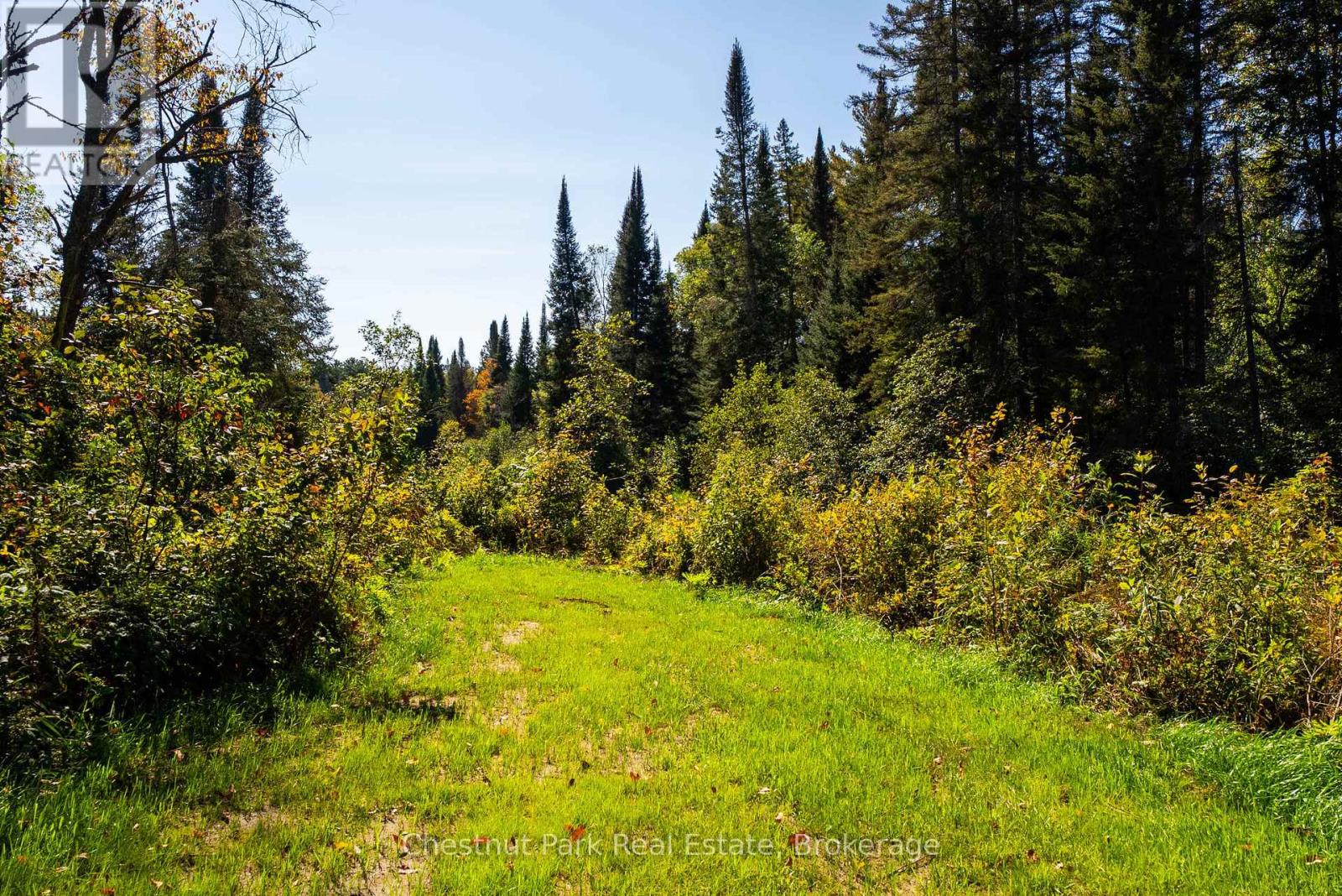 00 Deer Lake Road, Perry, Ontario  P0A 1J0 - Photo 32 - X12416296