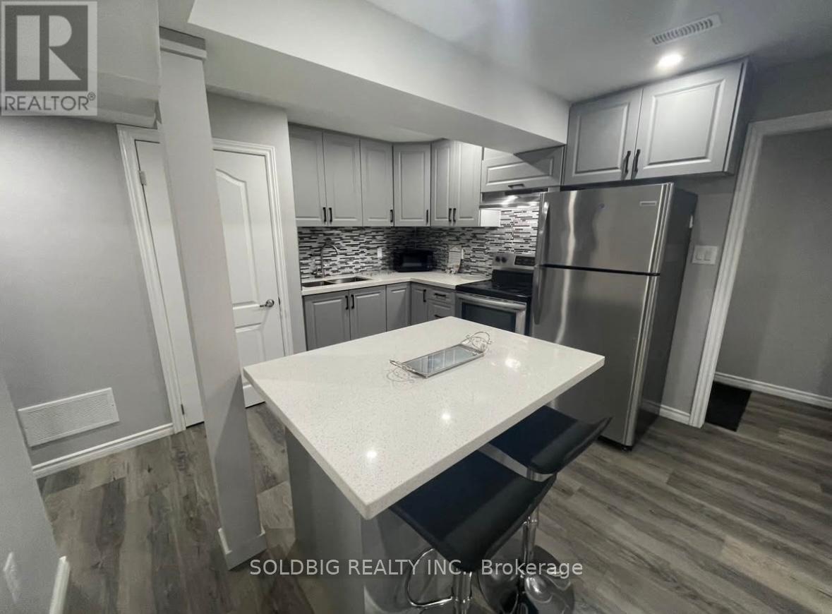 Basement - 1137 Raspberry Terrace, Milton, Ontario  L9T 2X5 - Photo 2 - W12413790