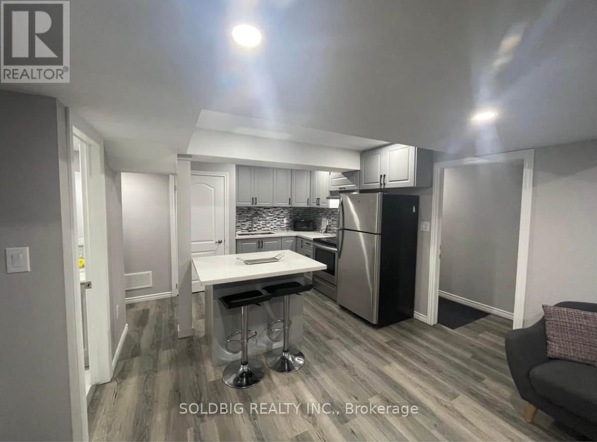 Basement - 1137 Raspberry Terrace, Milton, Ontario  L9T 2X5 - Photo 5 - W12413790