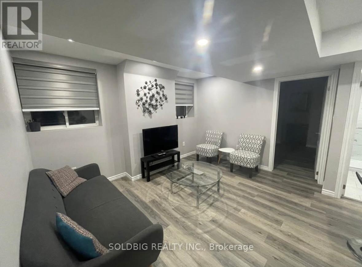 Basement - 1137 Raspberry Terrace, Milton, Ontario  L9T 2X5 - Photo 4 - W12413790