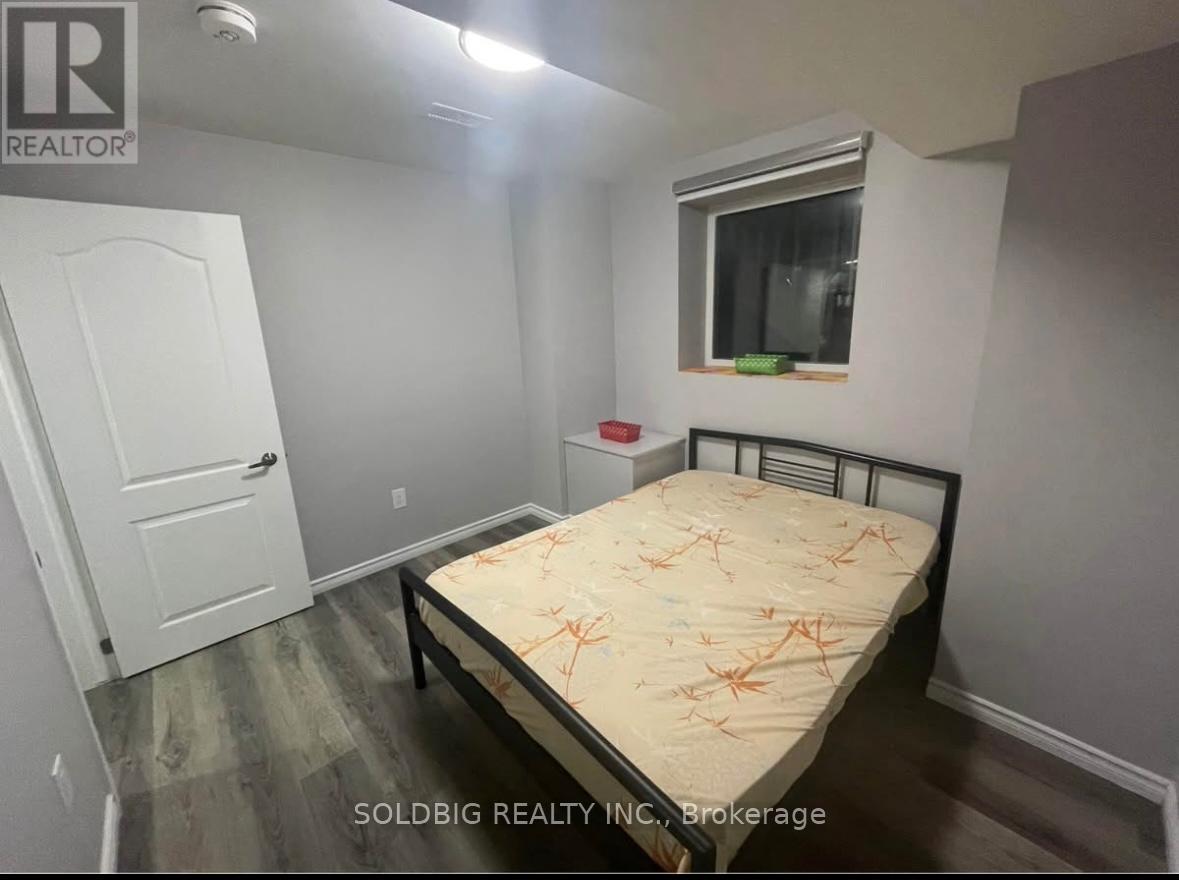 Basement - 1137 Raspberry Terrace, Milton, Ontario  L9T 2X5 - Photo 7 - W12413790