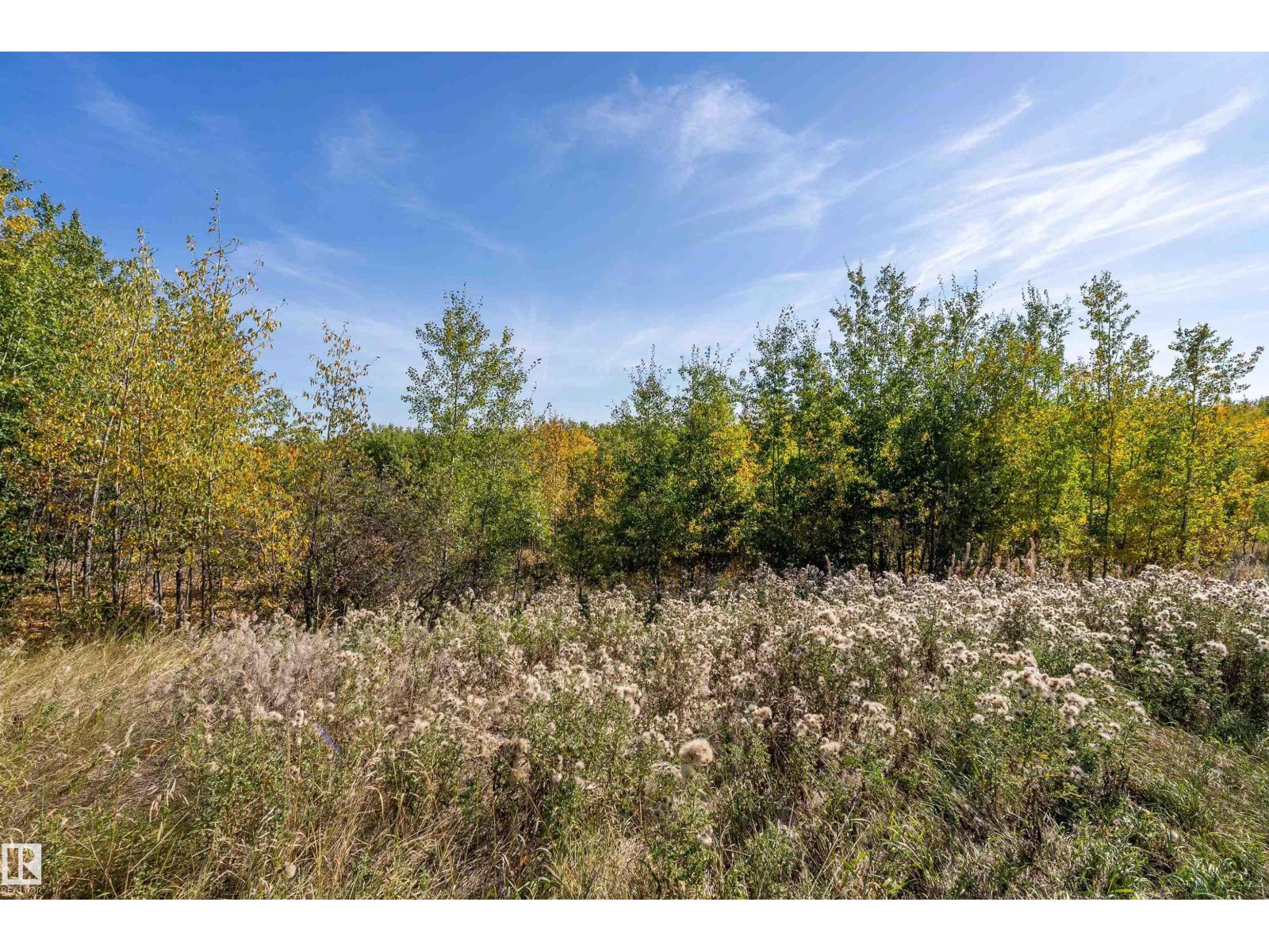 #65 23329 Sh 651, Rural Sturgeon County, Alberta  T0A 1N0 - Photo 16 - E4457938