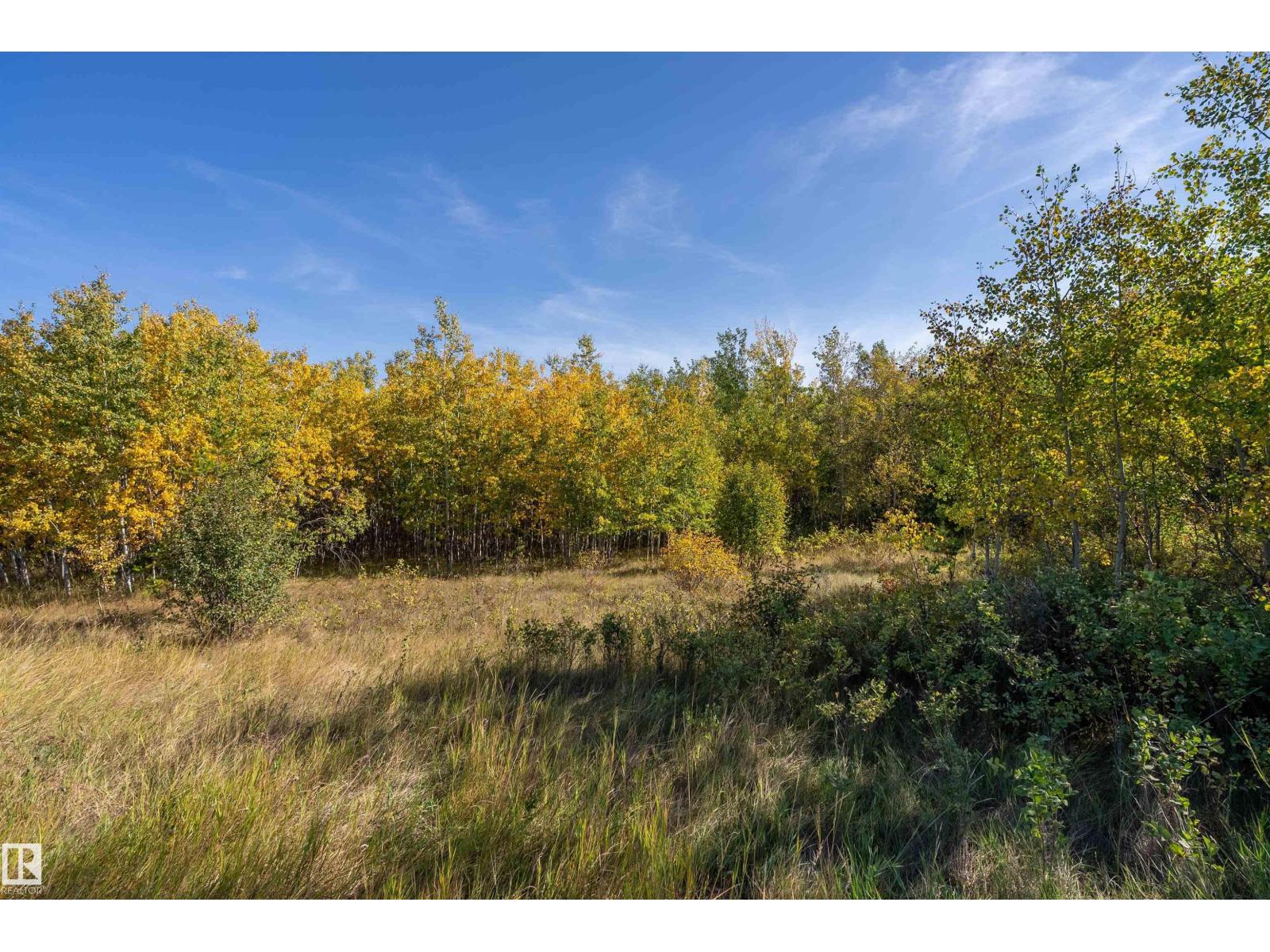 #65 23329 Sh 651, Rural Sturgeon County, Alberta  T0A 1N0 - Photo 12 - E4457938