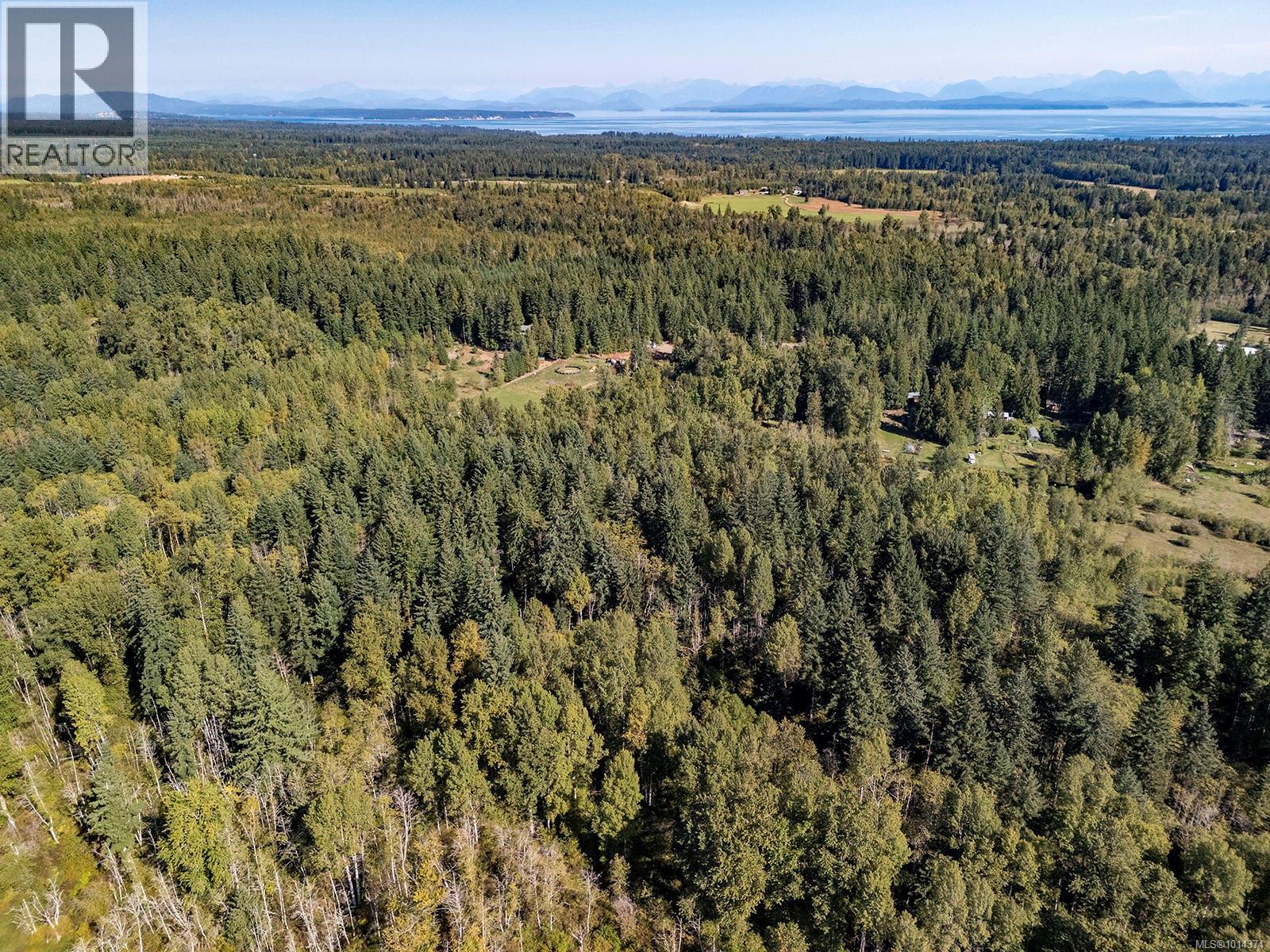 4256 Macaulay Rd, Black Creek, British Columbia  V9J 1E1 - Photo 85 - 1014374
