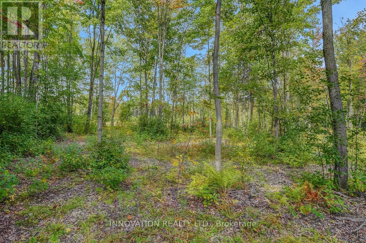 1522 Pittston Road, Edwardsburgh/cardinal, Ontario  K0E 1X0 - Photo 39 - X12416458