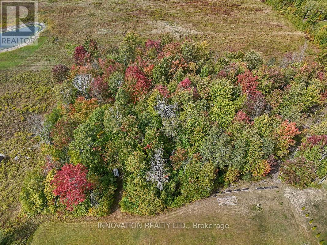 1522 Pittston Road, Edwardsburgh/cardinal, Ontario  K0E 1X0 - Photo 46 - X12416458