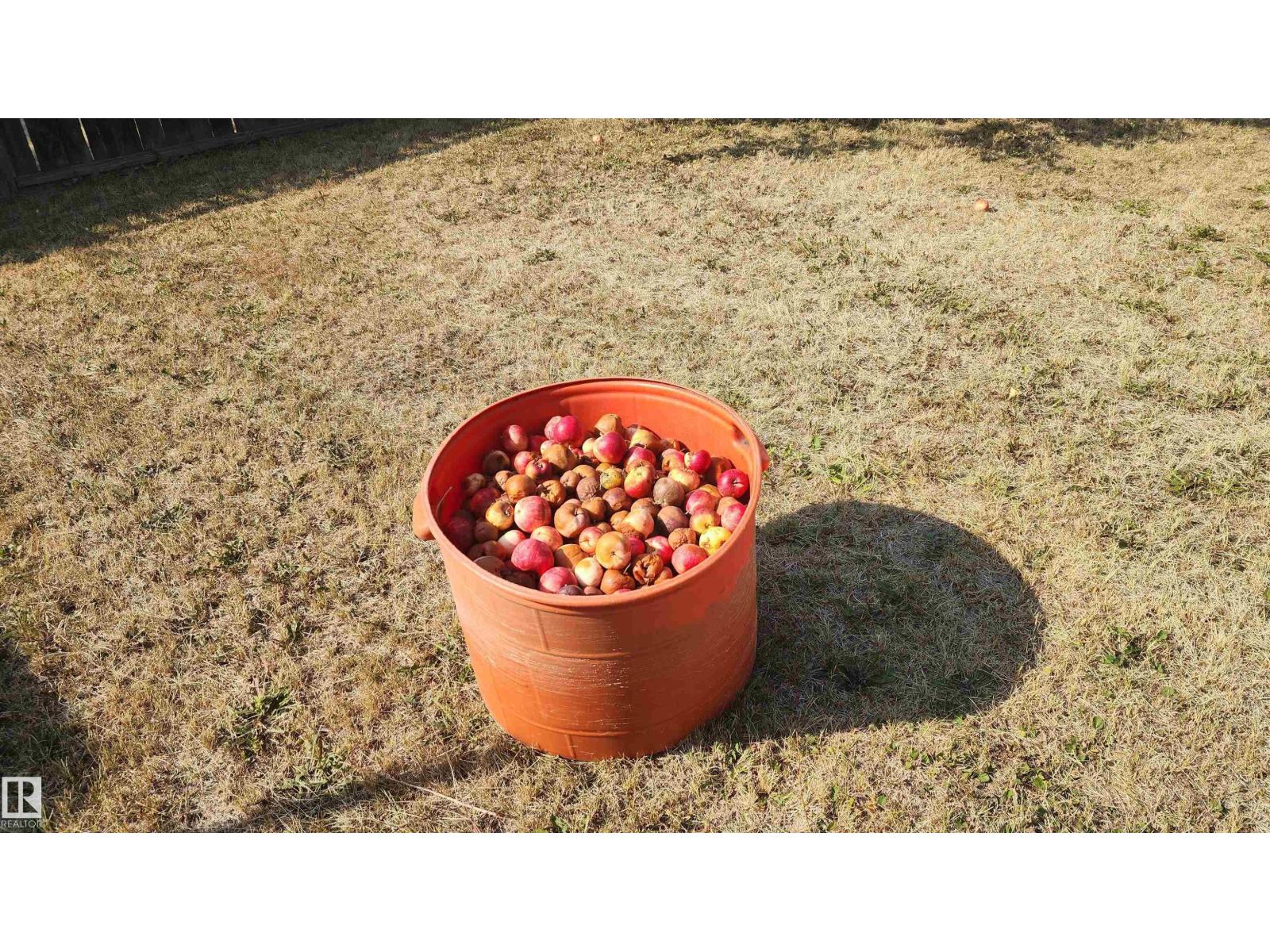 5121 59 Av, Elk Point, Alberta  T0A 1A0 - Photo 54 - E4458682