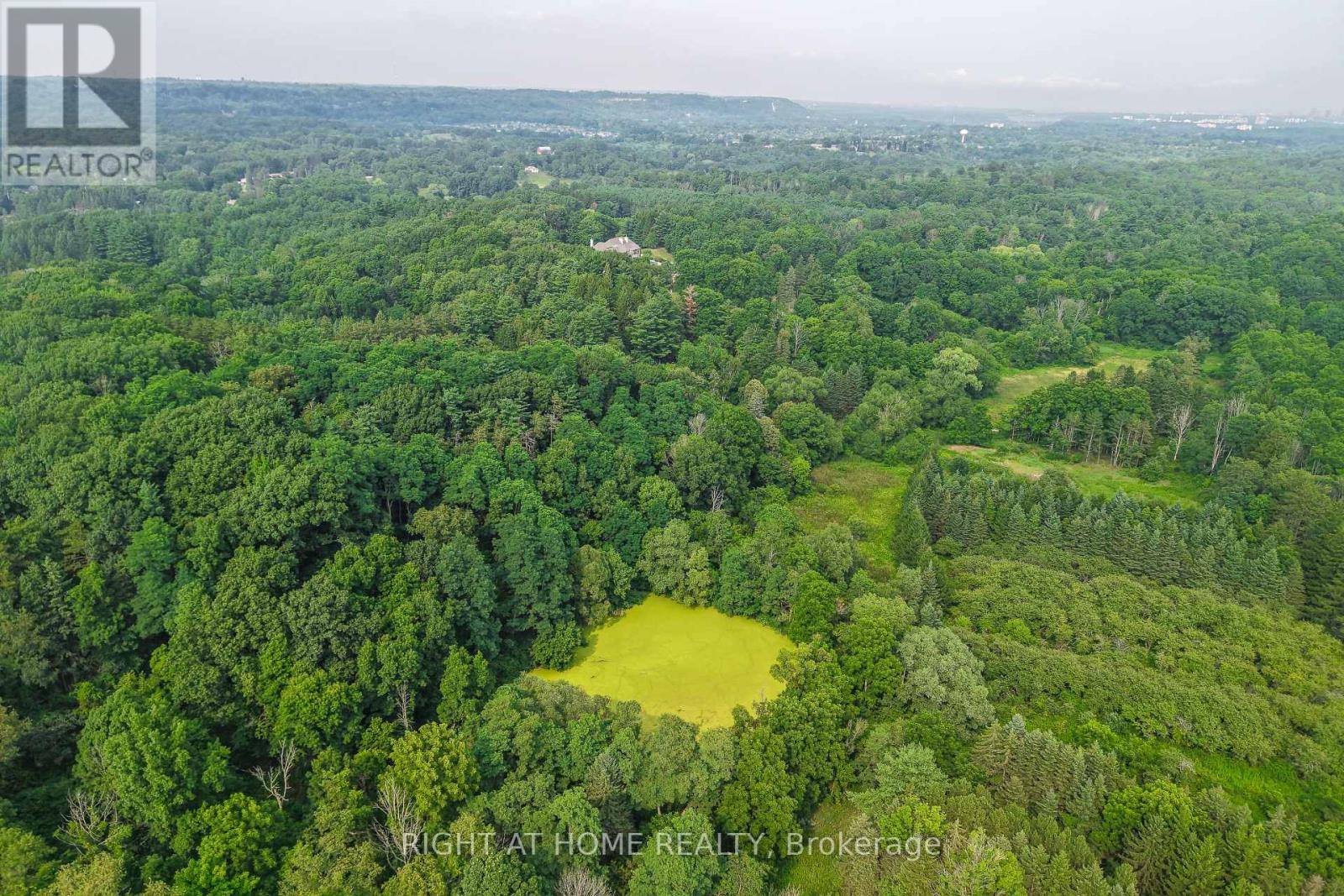 998 SULPHUR SPRINGS, Hamilton, Ontario