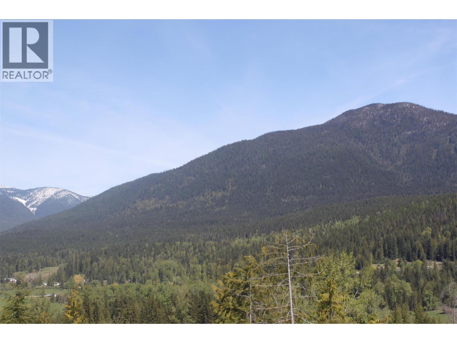 450 Brouse Loop Road, Nakusp, British Columbia  V0G 1R1 - Photo 18 - 10363631