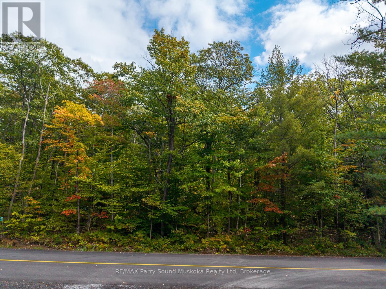 Lot 17 Oakridge Road N, Mcdougall, Ontario  P2A 2W9 - Photo 5 - X12416707