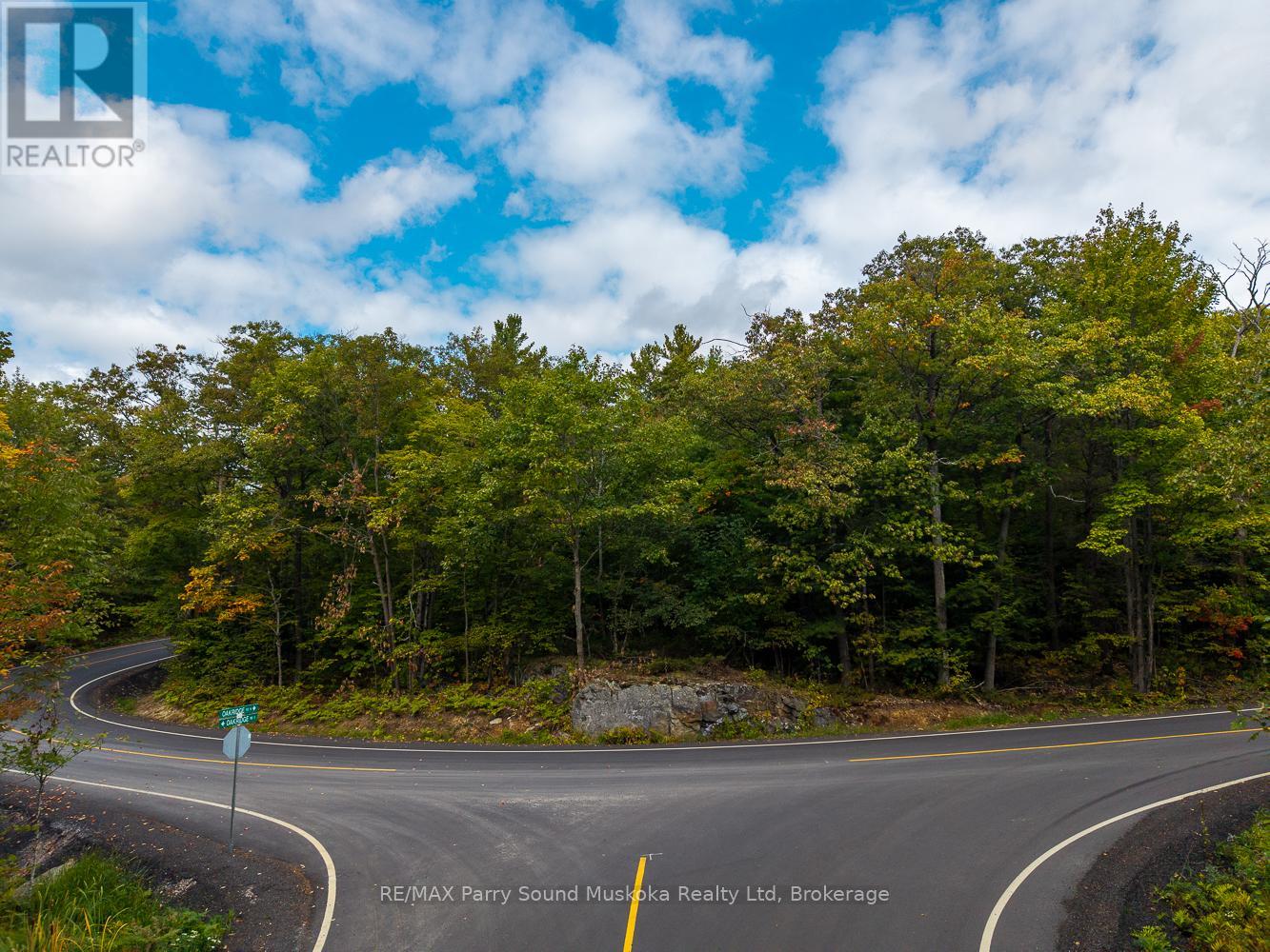 Lot 15 Oakridge Road N, Mcdougall, Ontario  P2A 2W9 - Photo 8 - X12416709