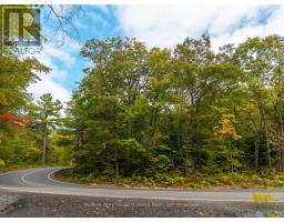 LOT 15 OAKRIDGE ROAD N, McDougall, Ontario