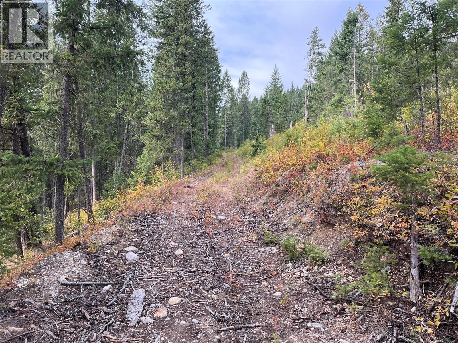 842 Almberg Road Unit# Remainder Lot# Lot, golden, British Columbia