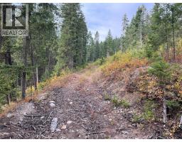 842 Almberg Road Unit# Remainder Lot# Lot, golden, British Columbia