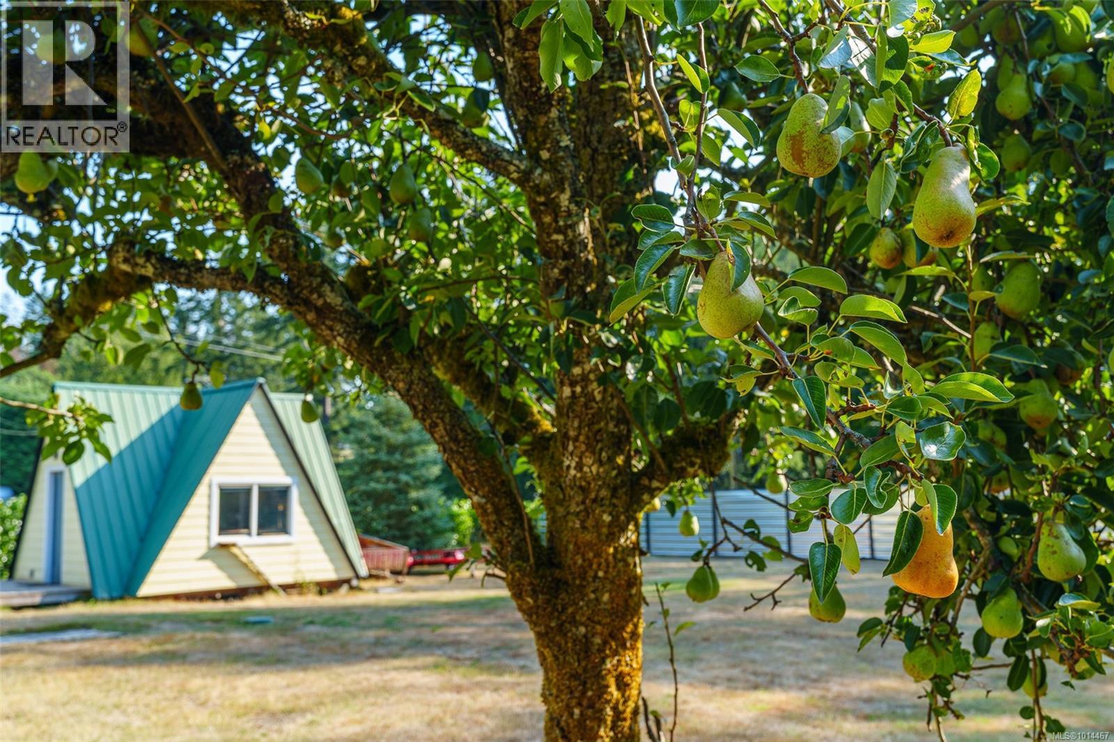 1405 Fisher Rd, Cobble Hill, British Columbia  V8H 0H7 - Photo 6 - 1014467