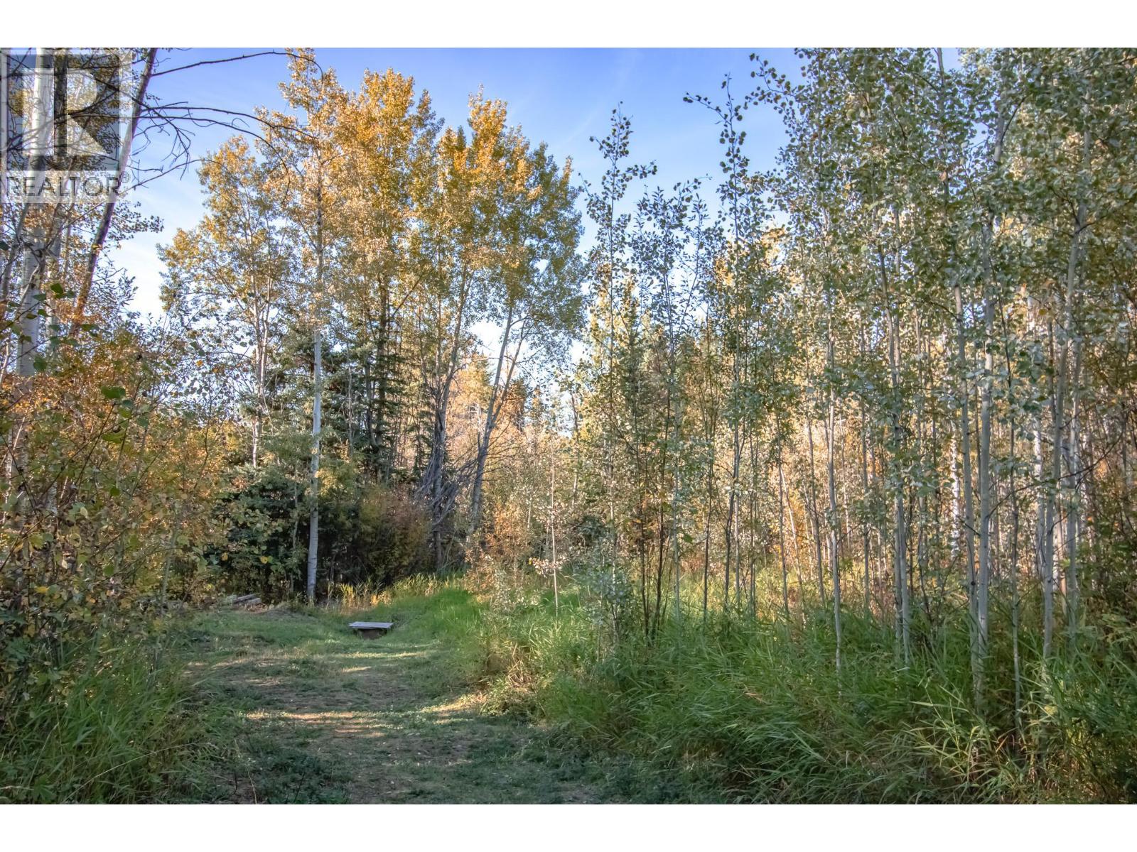 9805 Airport Road, Fort St. James, British Columbia  V0J 1P0 - Photo 27 - R3049966