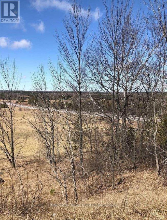 32 Conc.1 Whs Hwy89 Rd N, Mono, Ontario  L9V 1H9 - Photo 13 - X12416821