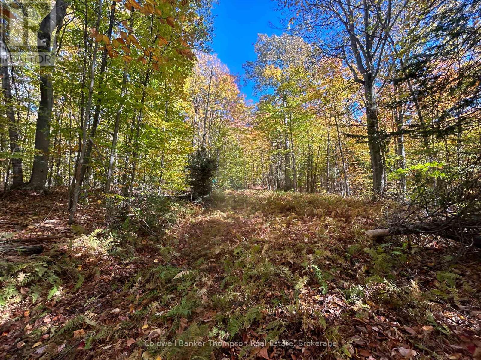 833 Hamilton Lake Road, Machar, Ontario  P0A 1X0 - Photo 1 - X12416864