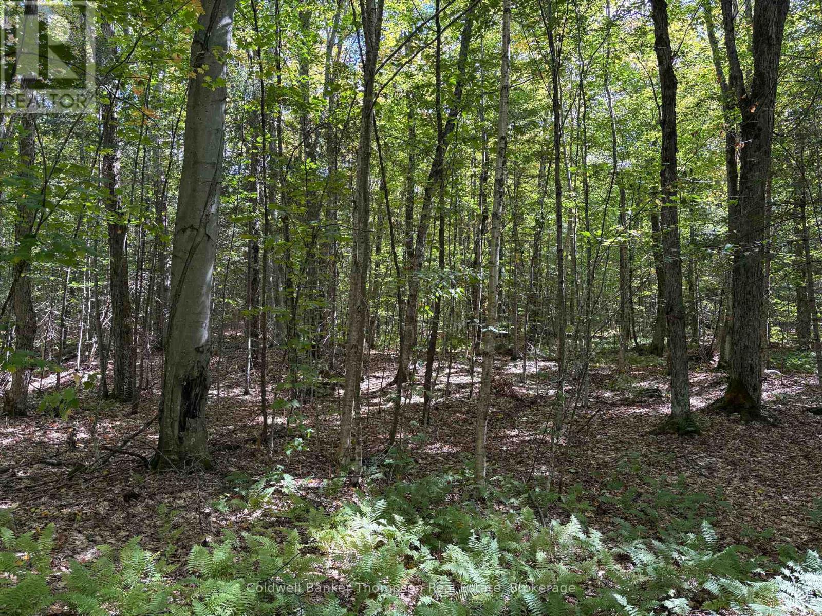 833 Hamilton Lake Road, Machar, Ontario  P0A 1X0 - Photo 4 - X12416864