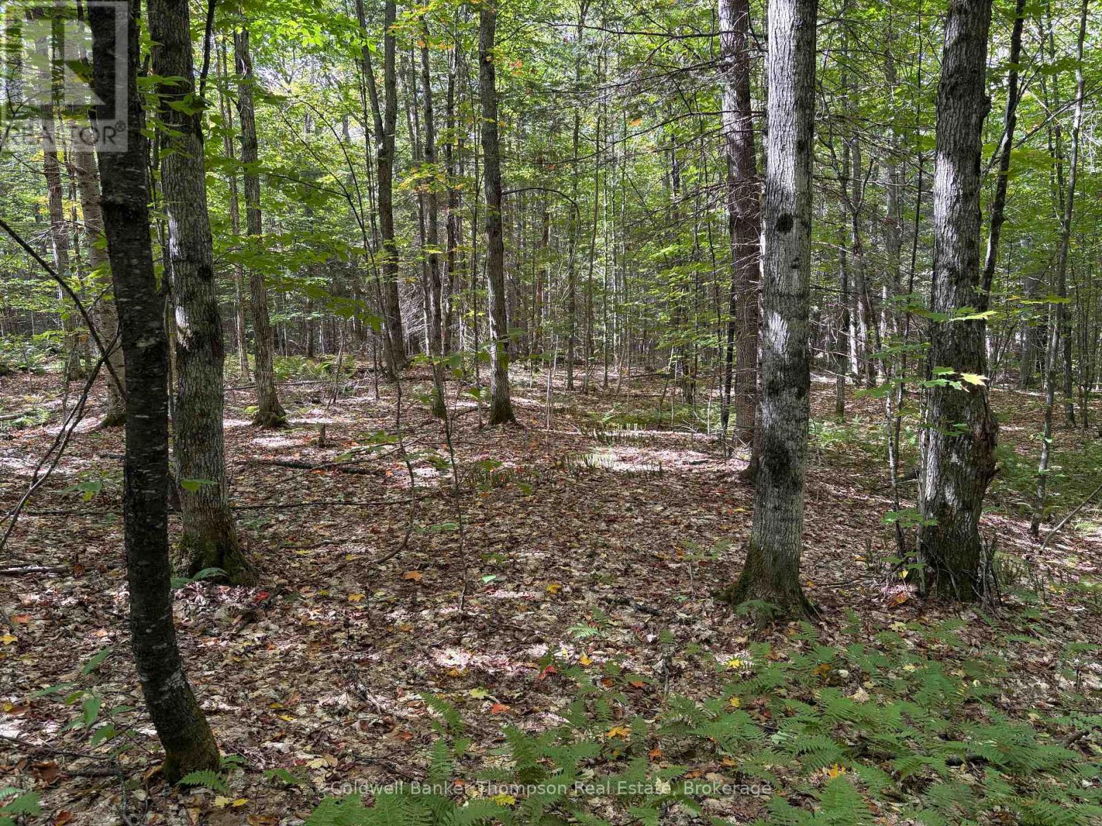 833 Hamilton Lake Road, Machar, Ontario  P0A 1X0 - Photo 6 - X12416864