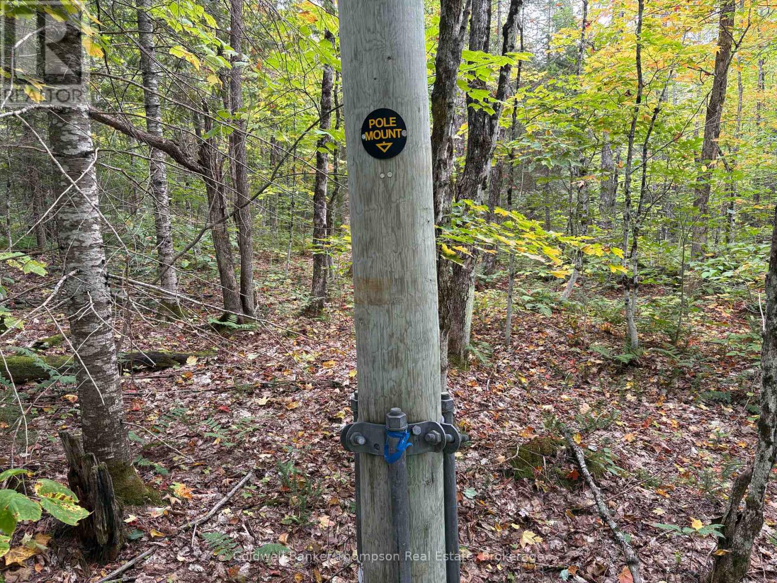 833 Hamilton Lake Road, Machar, Ontario  P0A 1X0 - Photo 8 - X12416864