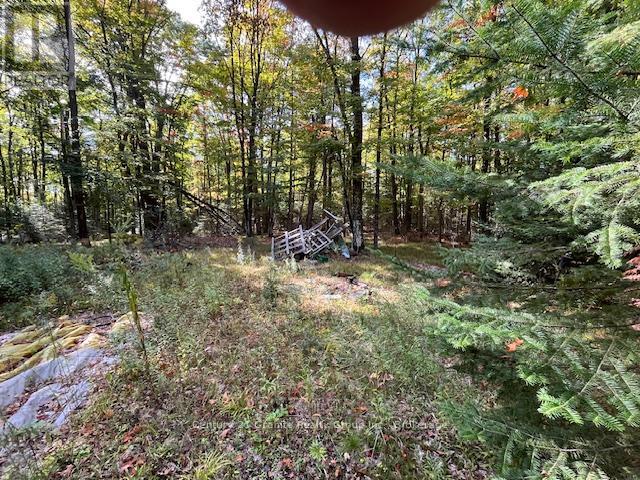 0 Nichols Road, Minden Hills, Ontario  K0M 2K0 - Photo 3 - X12416882