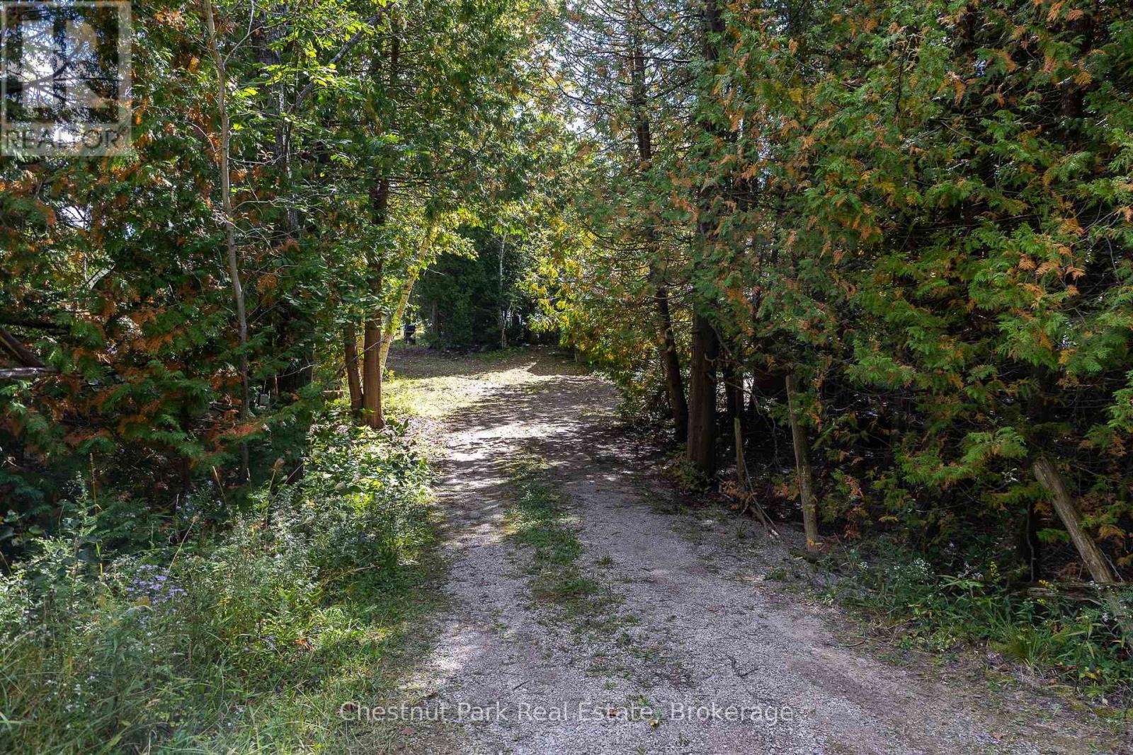 8 Birchwood Drive, Northern Bruce Peninsula, Ontario  N0H 2R0 - Photo 5 - X12414914